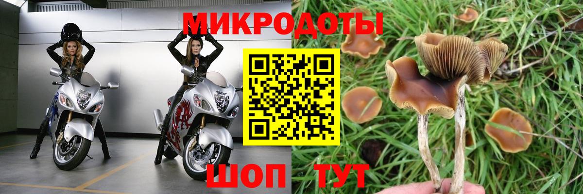 Псилоцибиновые грибы мицелий Ирбит