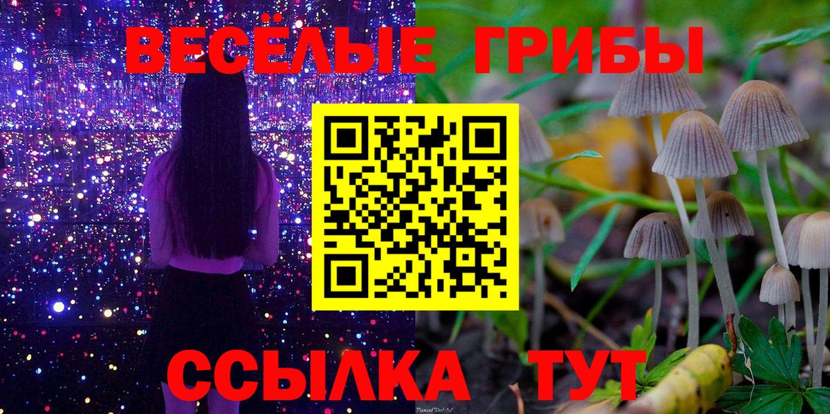 Псилоцибиновые грибы ЛСД  Вход с VPN  Псилоцибиновые грибы Psilocybe  Ирбит 
